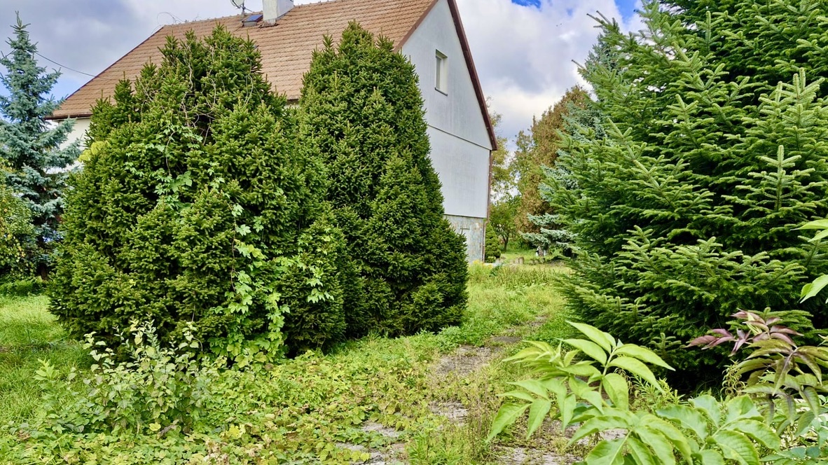 Secluded greenery close to Jána Kostru Street